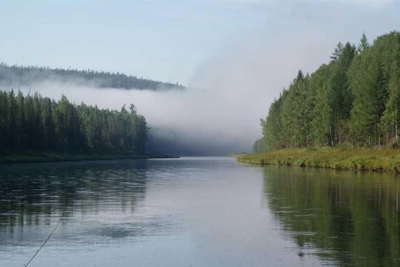 a body of water surrounded by pine trees