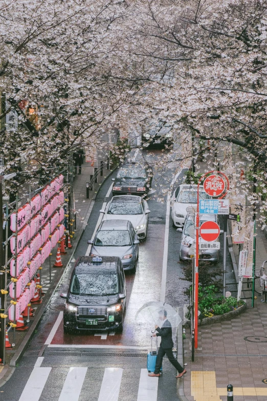 cars are parked in the street as a woman is crossing the street