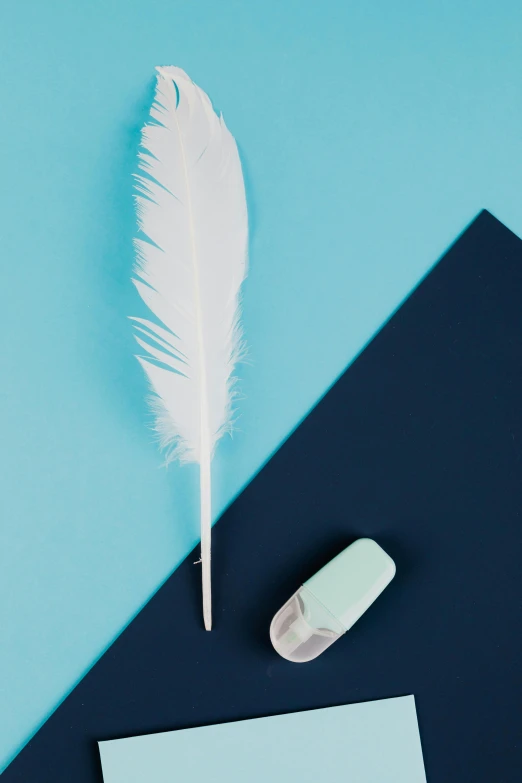 a blue table with white feather and blue notepad