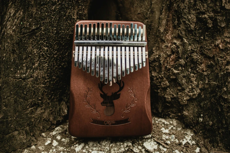 a metal comb and leather case is against a tree