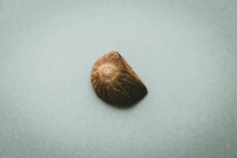 an orange shell is sitting on the white surface