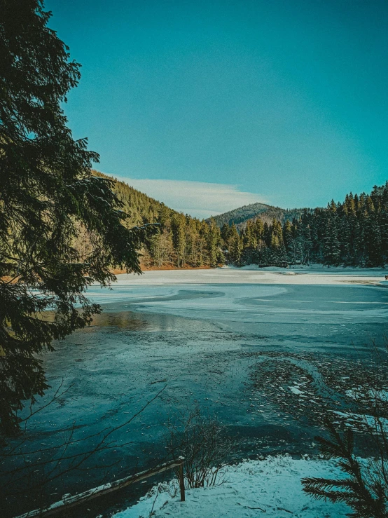 a tree sits over a frozen lake