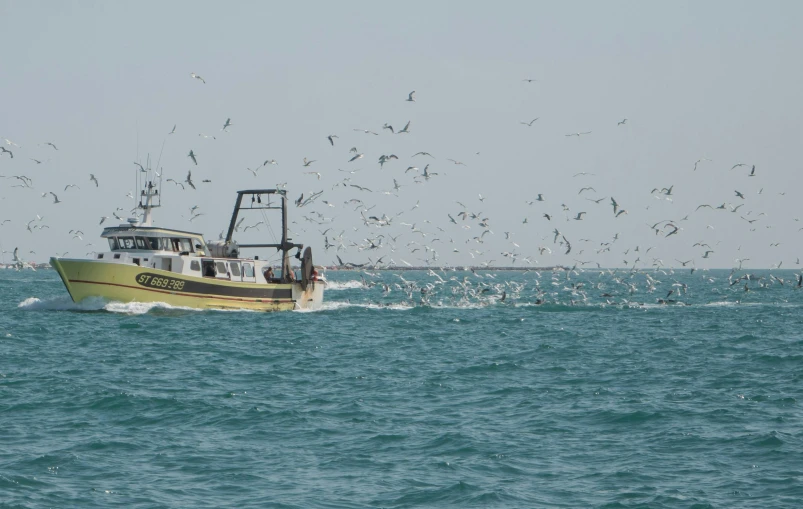 a yellow boat is traveling through the water