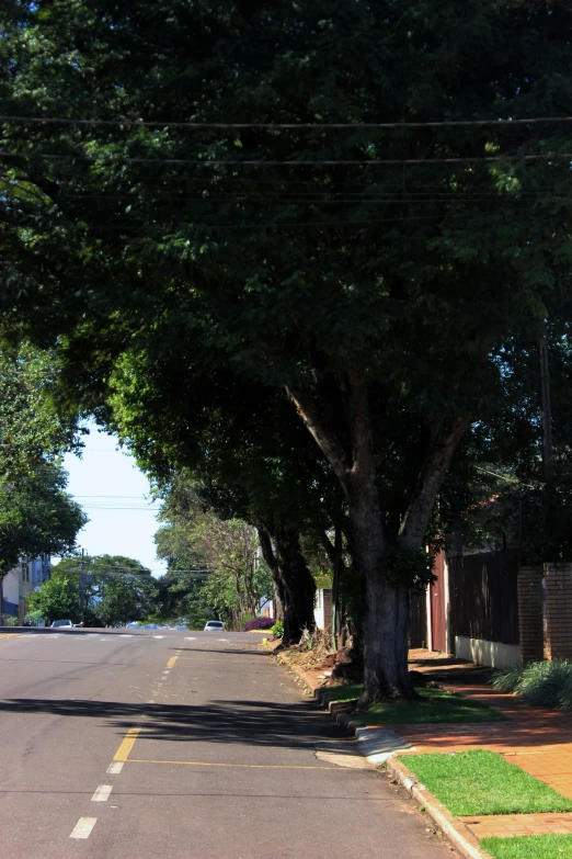 there is a fire hydrant on the side of this street