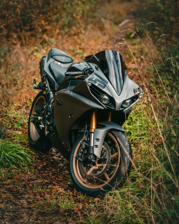 a motorcycle is parked on a dirt road near bushes