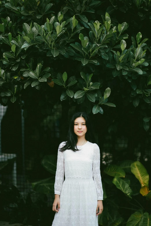 a woman standing under a green tree on her knees