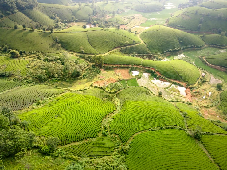 a wide view of a grassy green valley