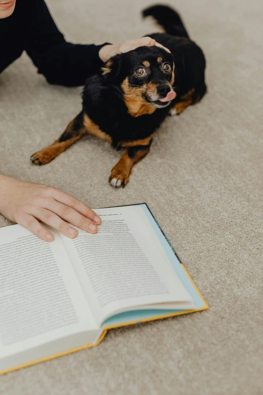 dog and a woman are laying on the floor near an open book