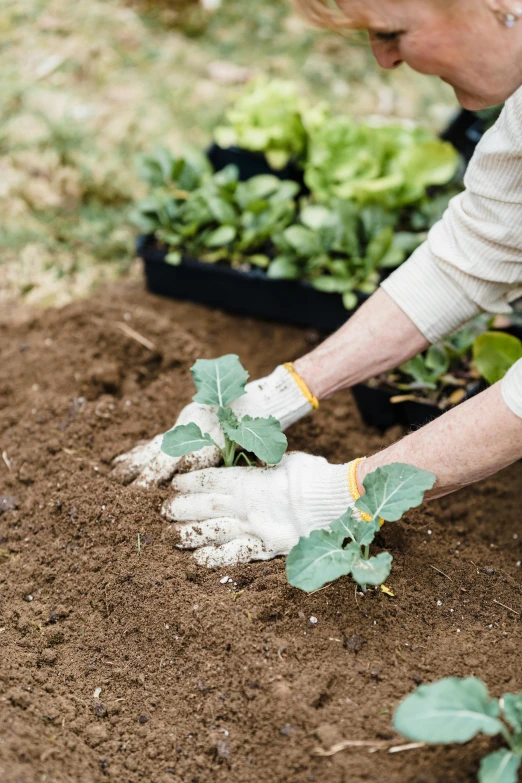 the person is putting dirt in the garden