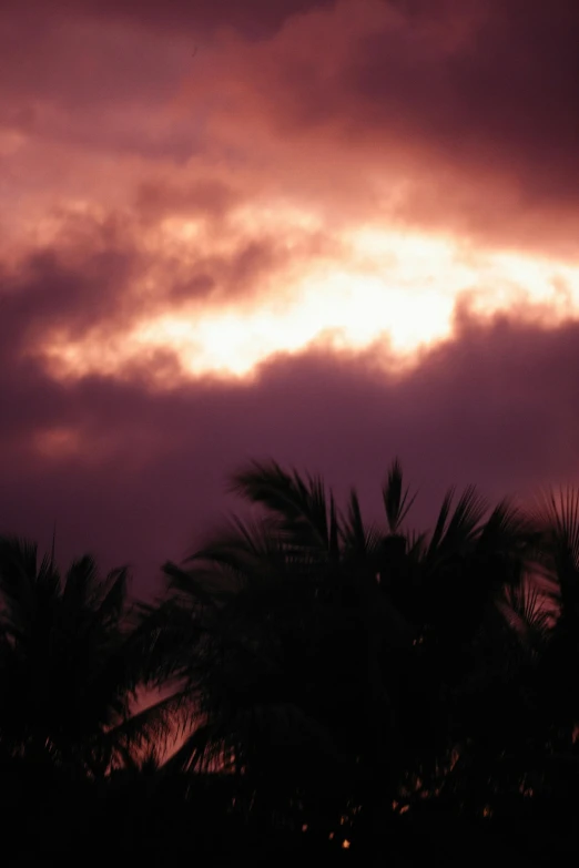 a purple sky with clouds and palm trees