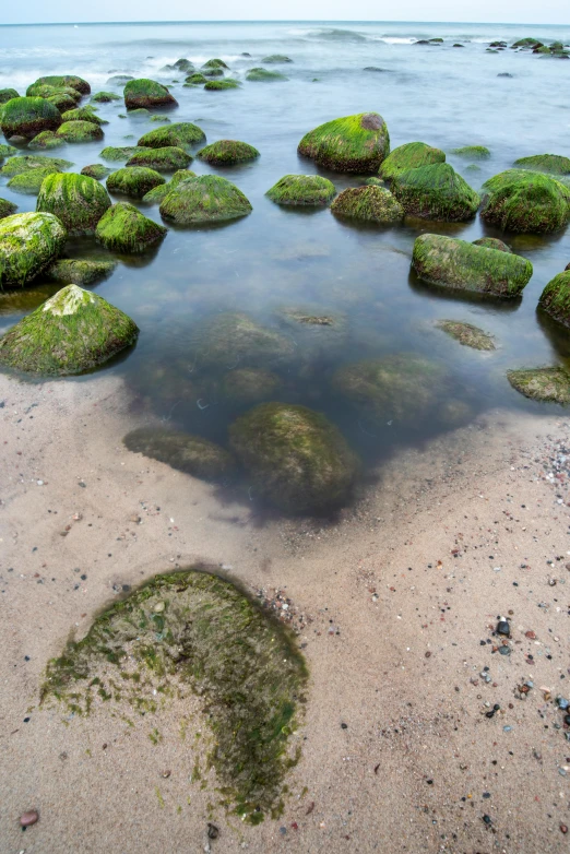 some green rocks and water on a beach