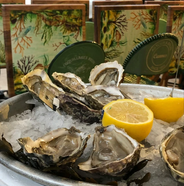 oysters and lemon slices in ice in an old style bowl