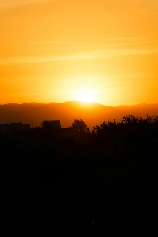 the sun rises behind some trees in a park