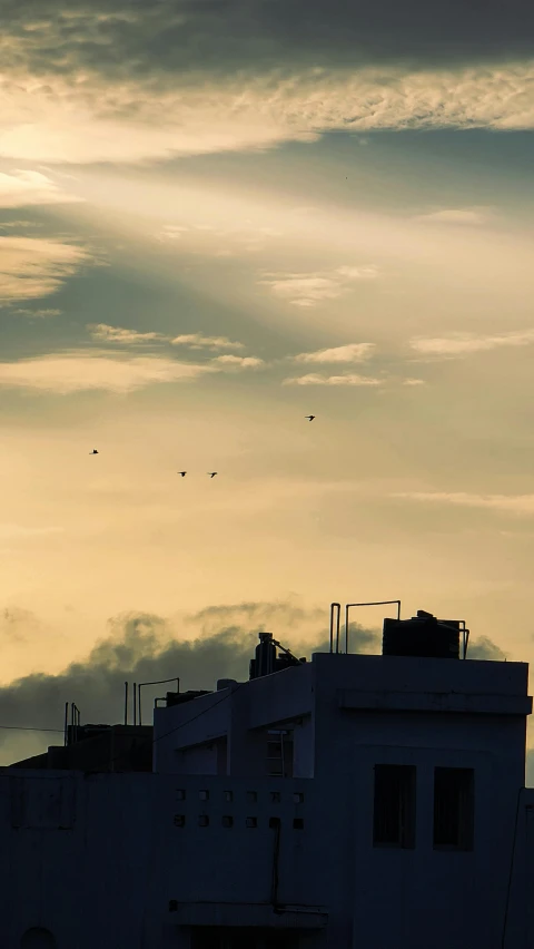 some birds are flying above a building and clouds