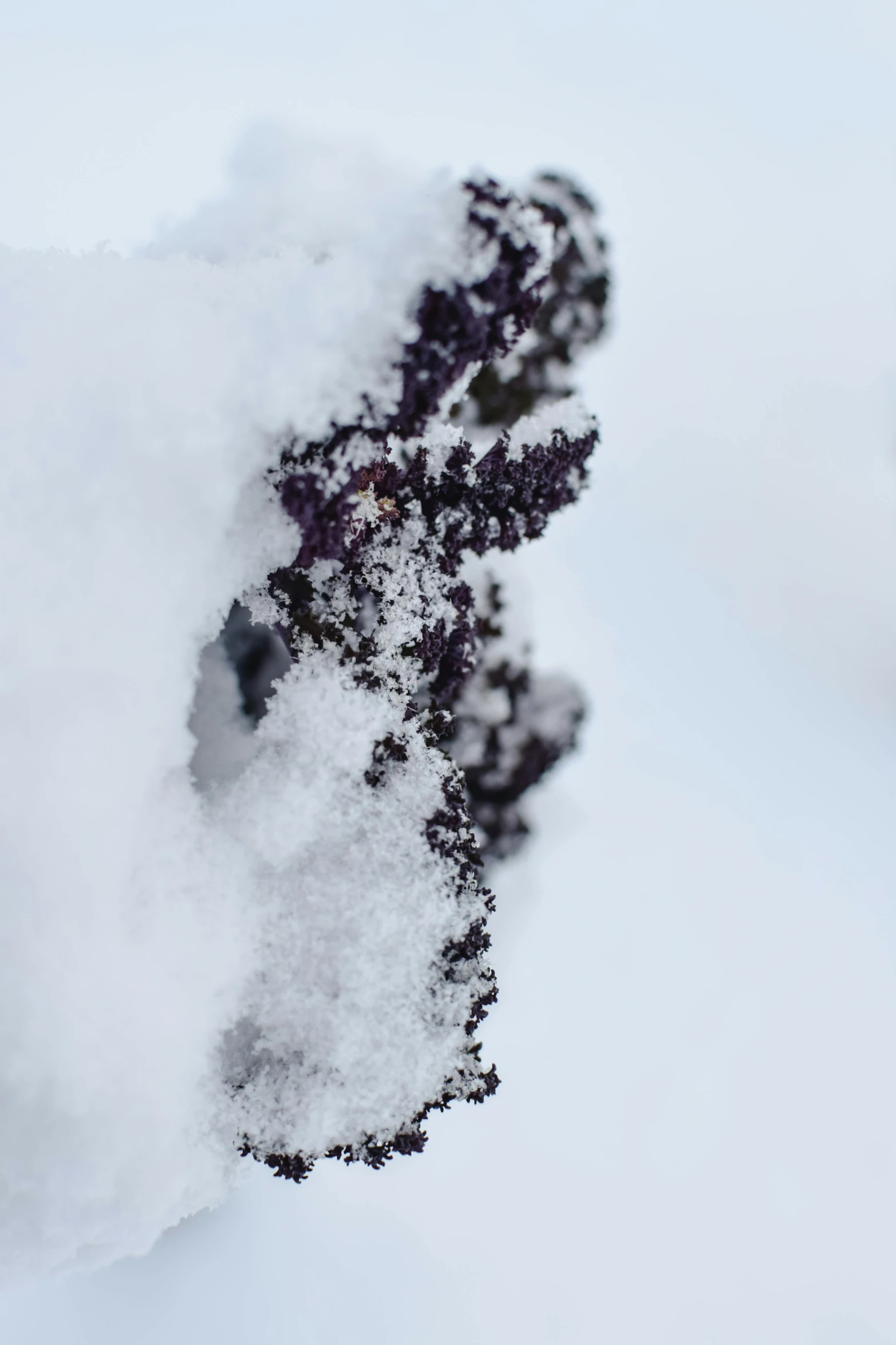 a large group of snow drifts over some snow