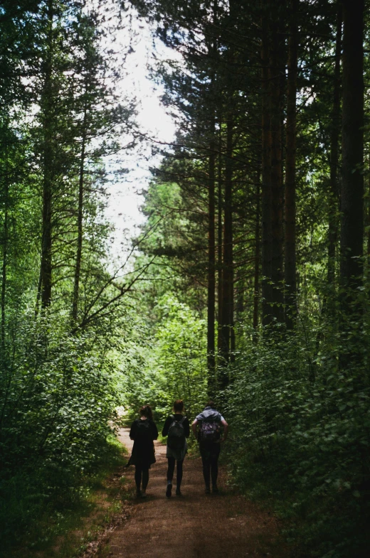 three people on dirt path between trees and shrubs