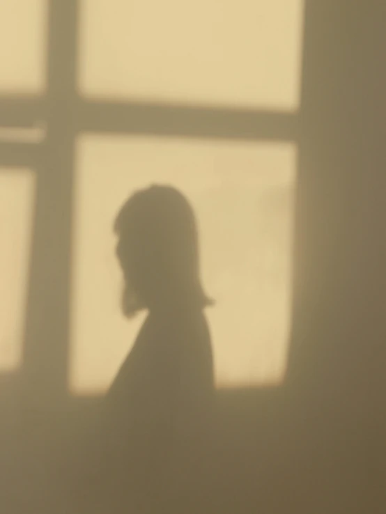 this po is of a female profile silhouette with light coming through a window