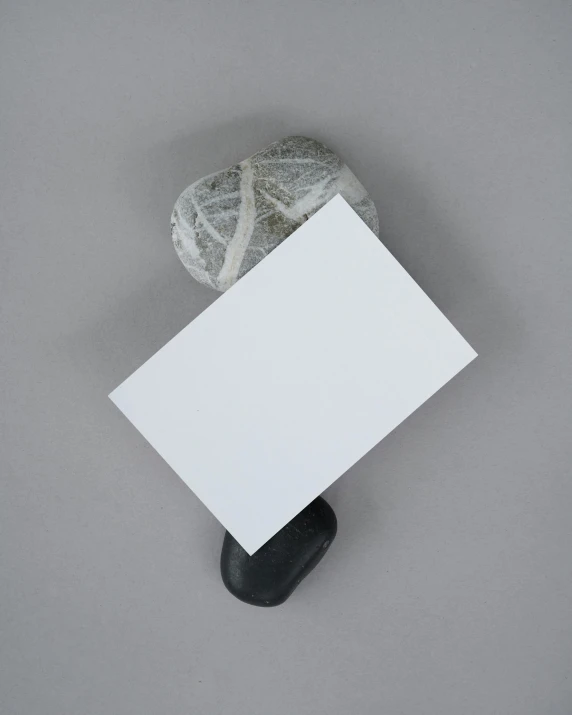 a rock covered in leaves and a white paper