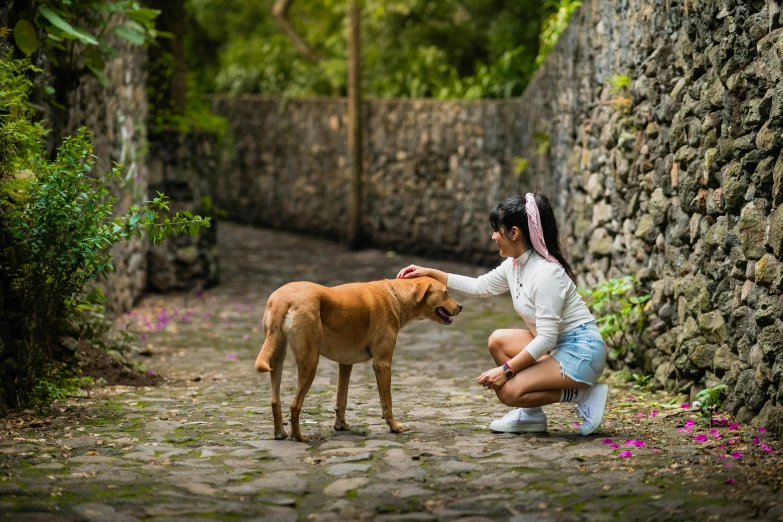 a child pets a brown dog outside by some flowers