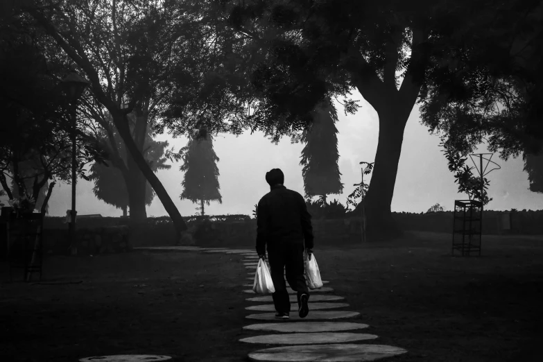 a man carrying a pair of bags is walking down a path