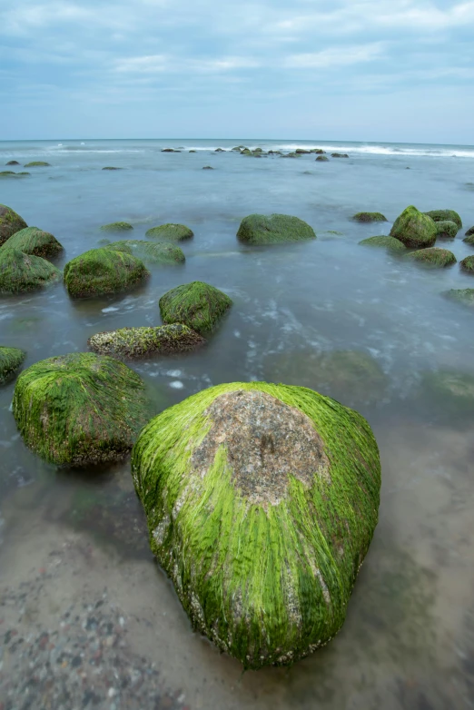 some very pretty mossy rocks in the water