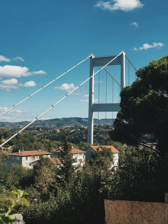 a very tall bridge surrounded by trees and houses