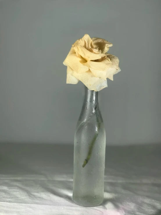 a yellow rose sitting in a gray vase