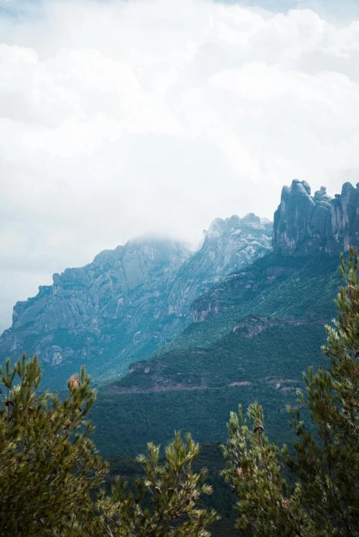 a tree line overlooking a mountain range and clouds