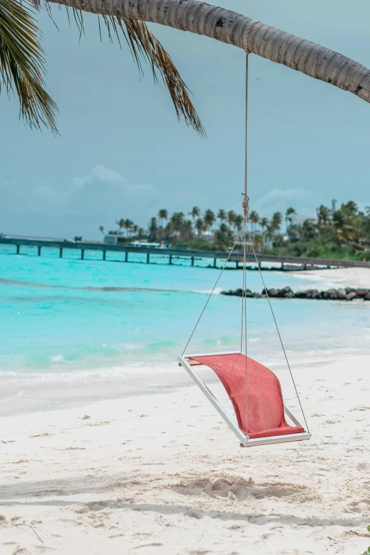 a pink cloth swing hanging from a palm tree