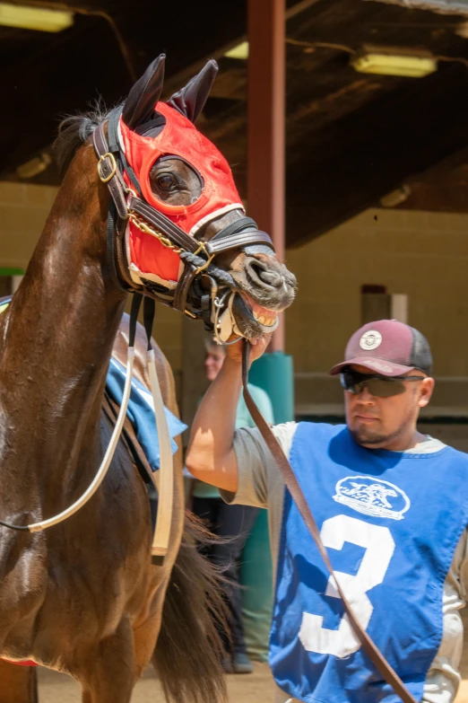 man adjusting horse's bridle with an attendant