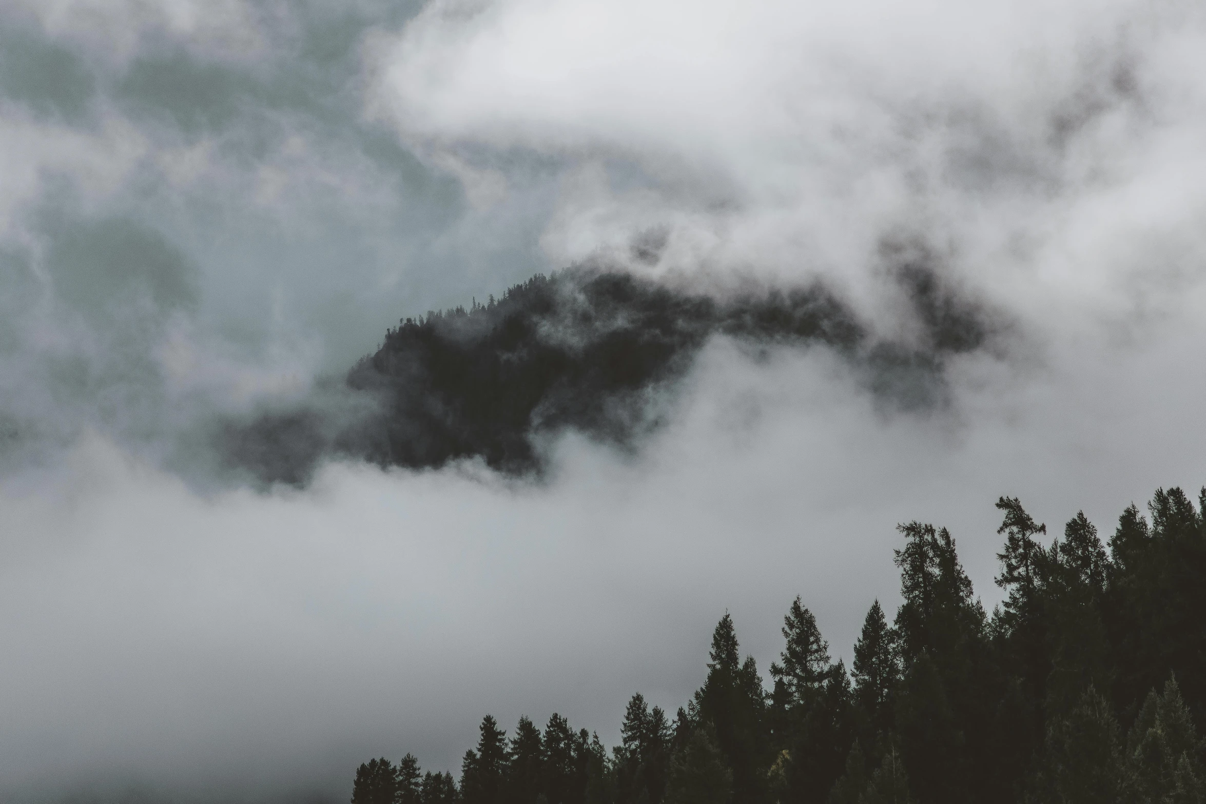 black smoke rising from a forest as seen through the mist