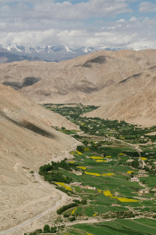 a view looking down a hilly countryside with green trees and yellow flowers