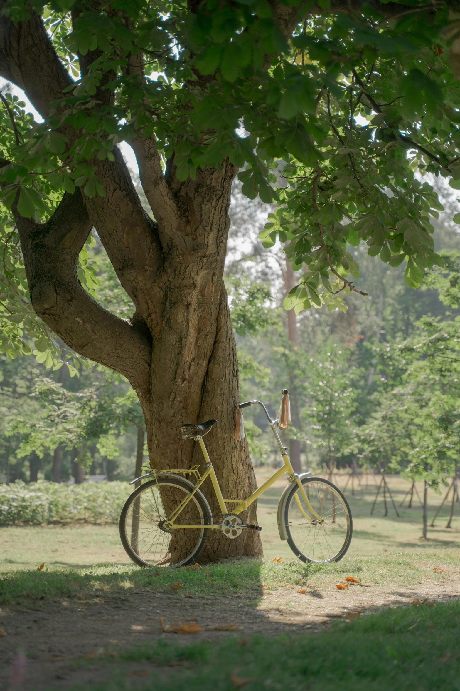 a bike that is leaning against a tree