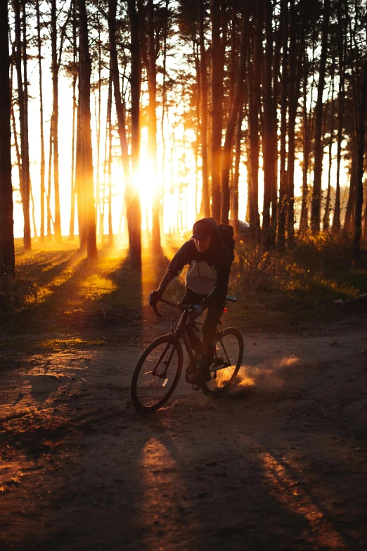 the man is on his bicycle by the forest