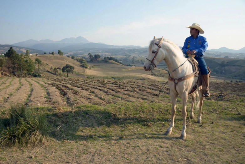 a man in a cowboy hat sitting on a horse