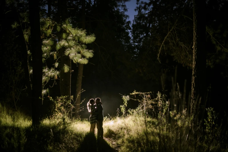 a couple hugging in the woods under the dark sun