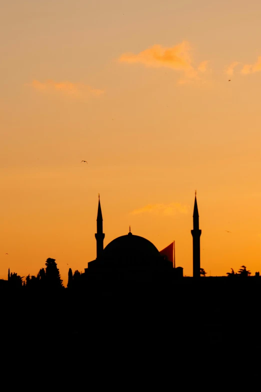 a bird flies past the silhouettes of a city with the sun setting