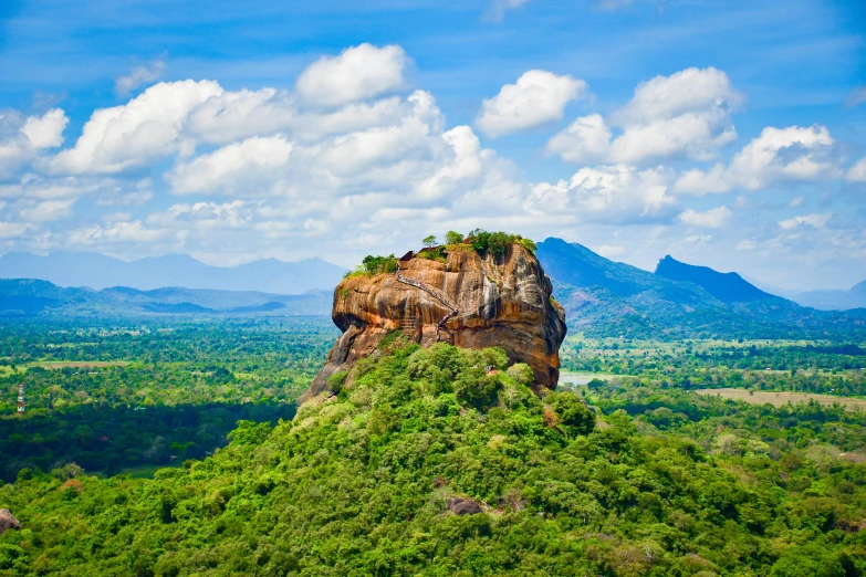 the top of a rock in a tropical area