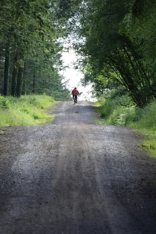 a person on a bicycle is walking down the road