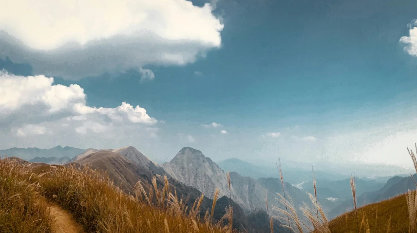 a field with some very tall grass next to some mountains