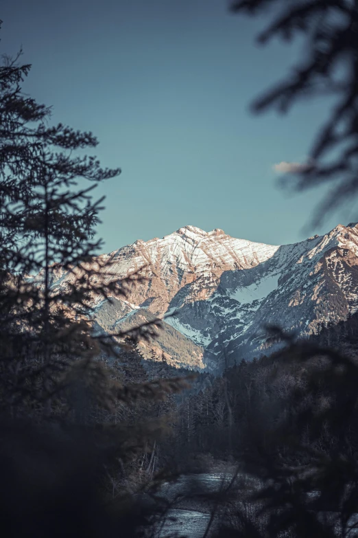 a tree covered hill is seen through some nches