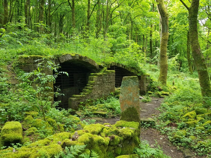 a small cave in the middle of a forest