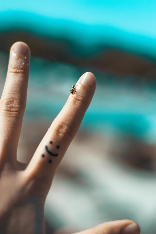 a lady bug crawling on the middle finger