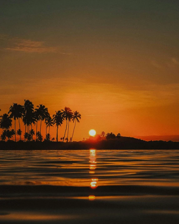 a sunrise with palm trees and water