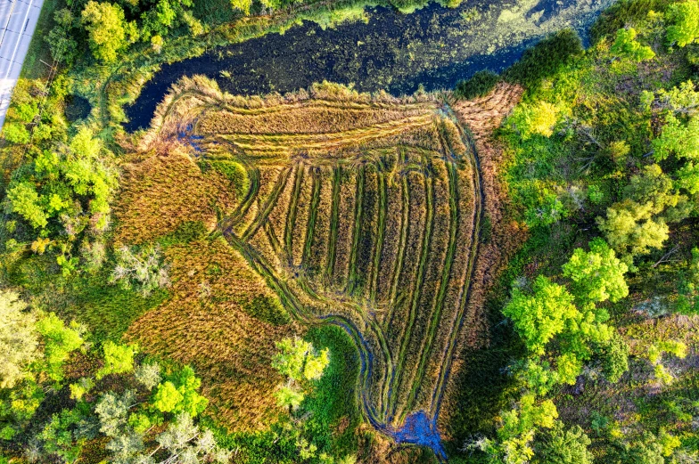 the aerial view from a helicopter shows a river running through the woods