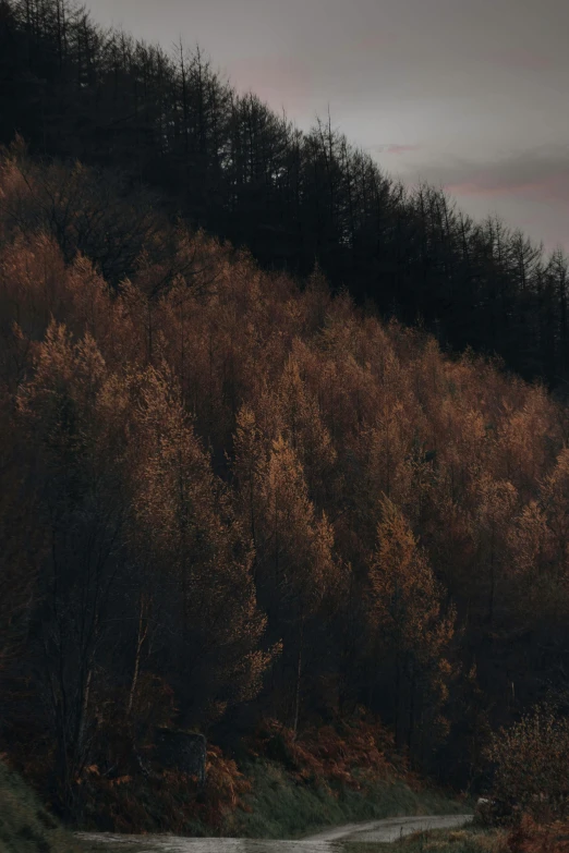 the sun sets over an area with trees on either side of a river