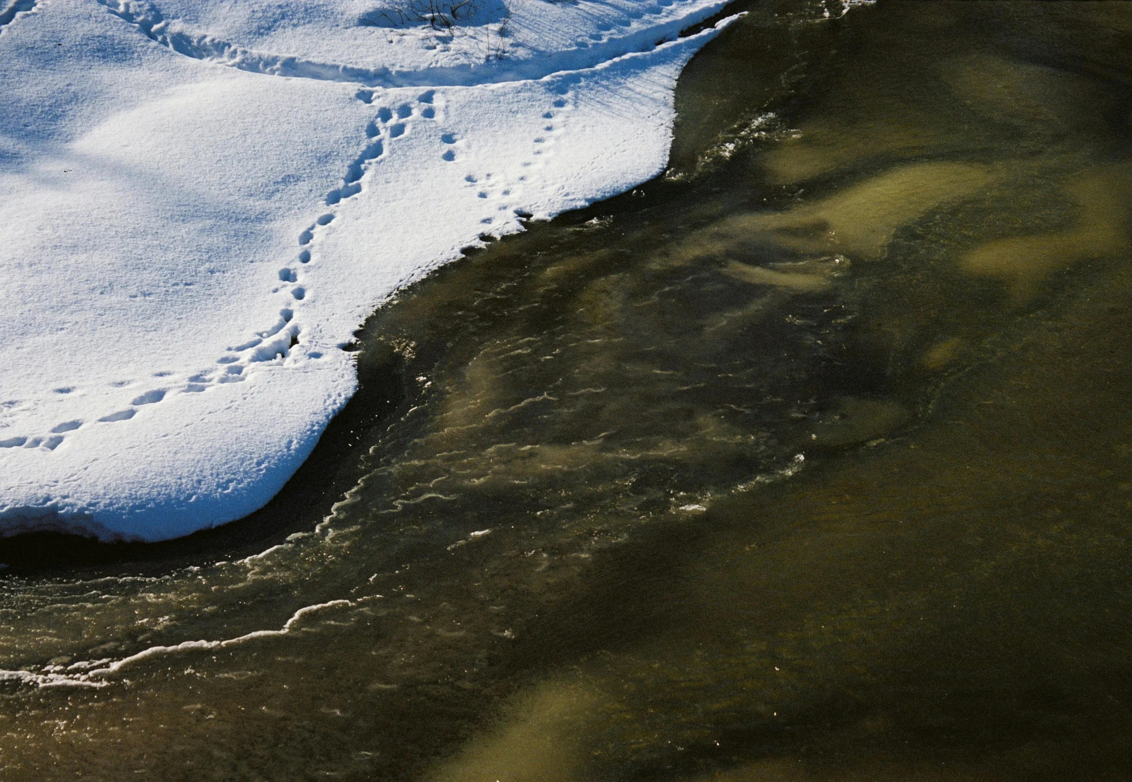 footprints are on the snow and water of a small river