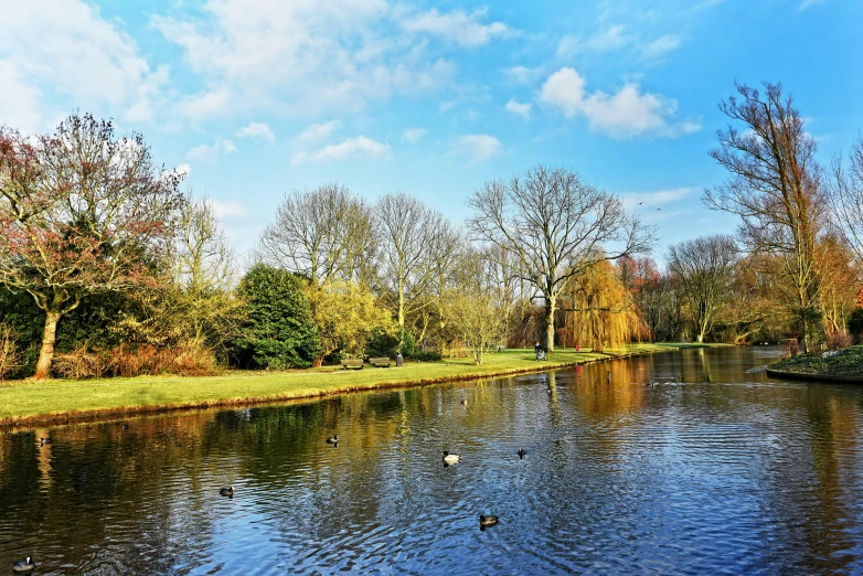 two ducks are swimming on the lake