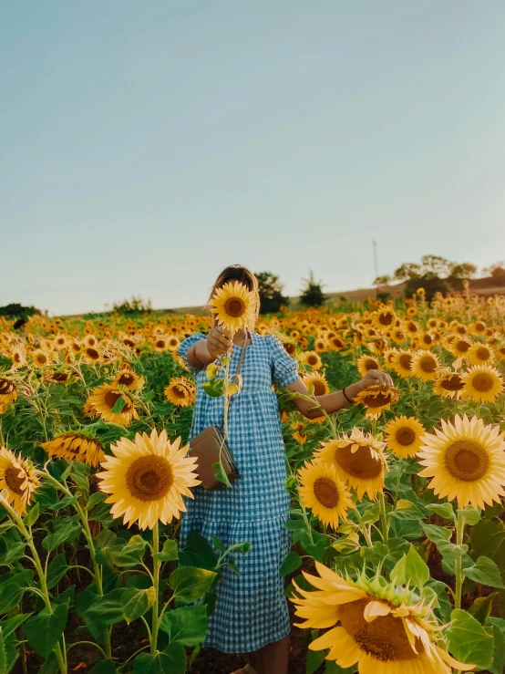 a man in a field with many yellow sunflowers