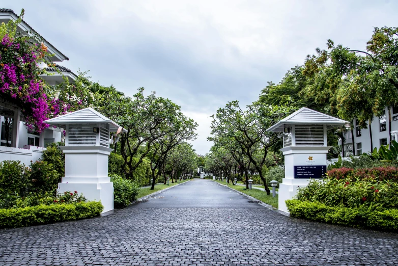 a stone driveway surrounded by tall trees and shrubs